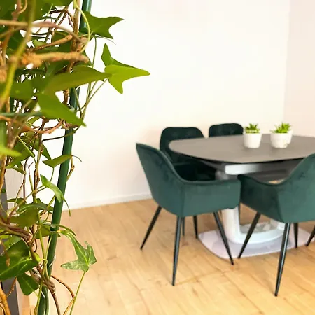 Chic In Cosmopolit With Balcony Apartment Brasov