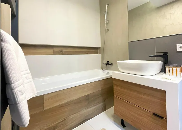 公寓 Chic W Parking 布拉索夫