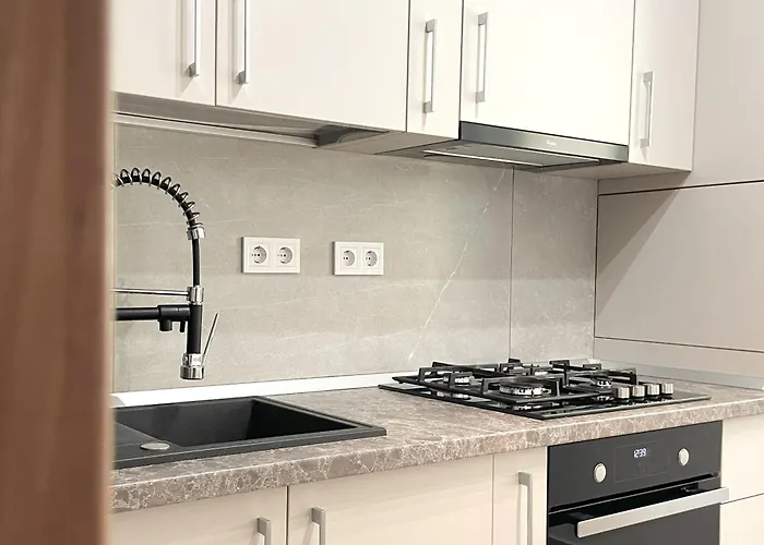 Chic W Parking 公寓 布拉索夫