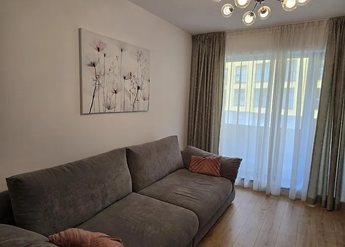 公寓 Chic W Parking 布拉索夫