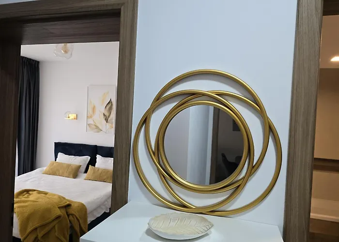 Chic W Parking 公寓 布拉索夫